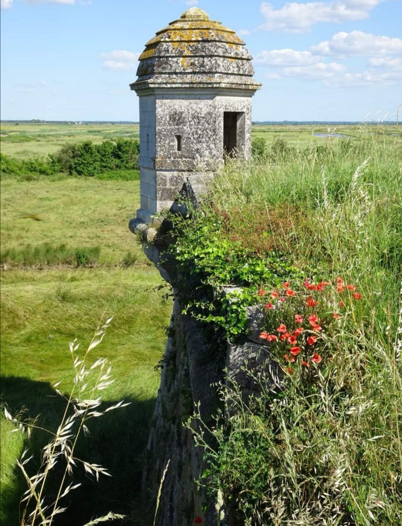 Citadelle de brouage