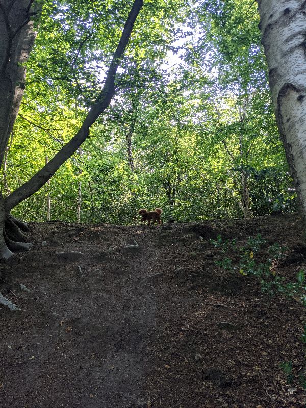 Oldbury Hill