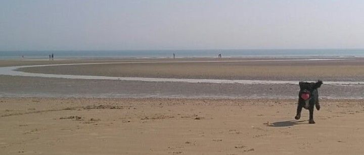 Camber Sands Beach