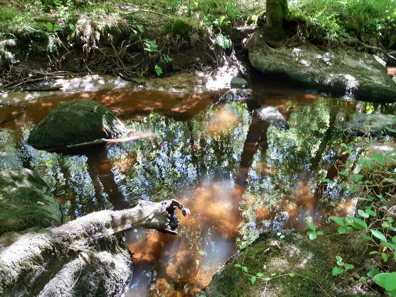 Gorges du corong — photo 2