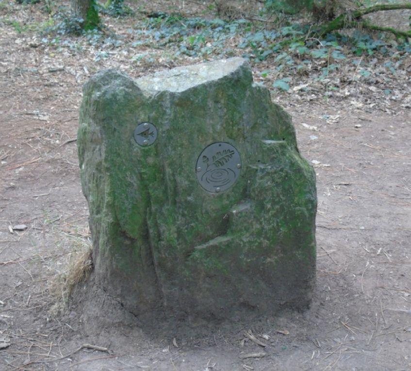Le Tombeau de Merlin — photo 2