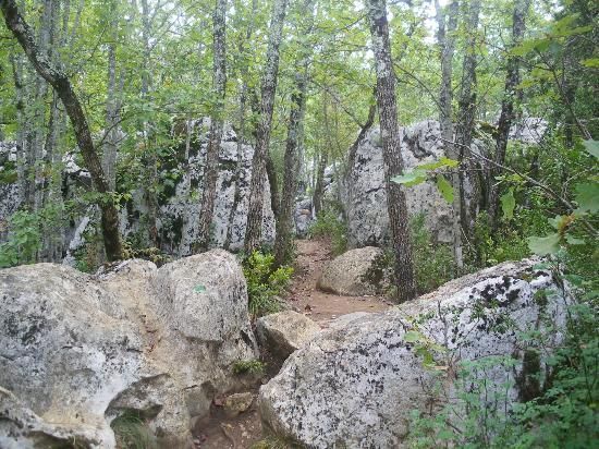 Bois de Païolive — photo 2