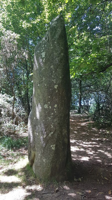 Menhir de Kerhrara — photo 2