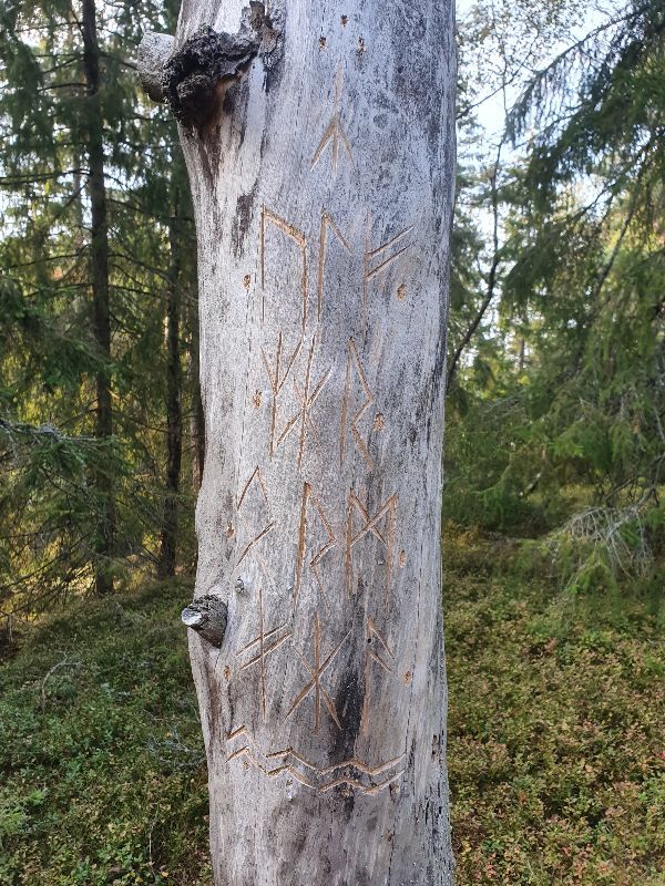 Rune tree