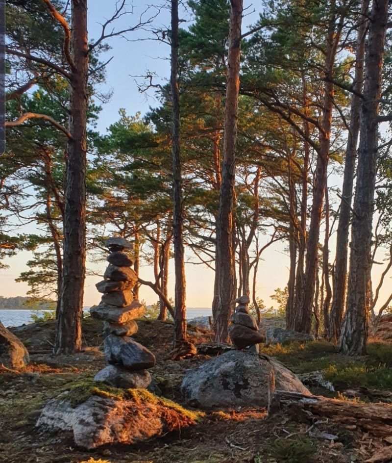 Gråsugge ön(woodlouse island) — photo 3