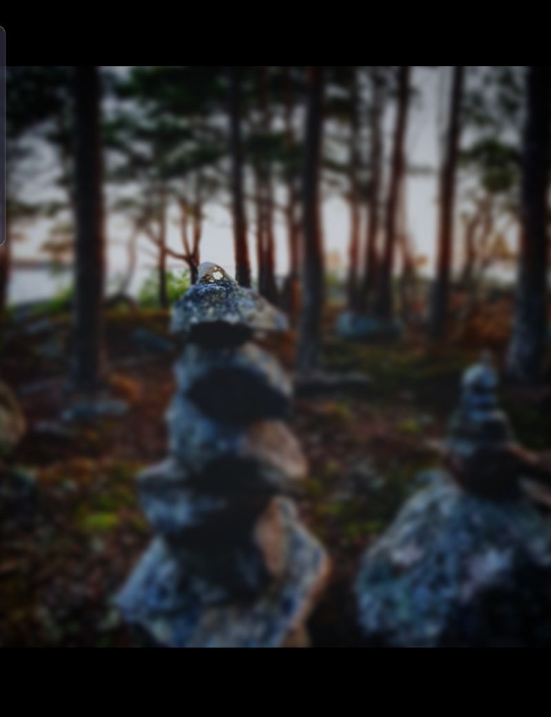 Gråsugge ön(woodlouse island)