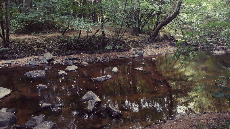 Dolmen du Breuil de Thiat (et promenade du Saut de la Brame) — photo 3