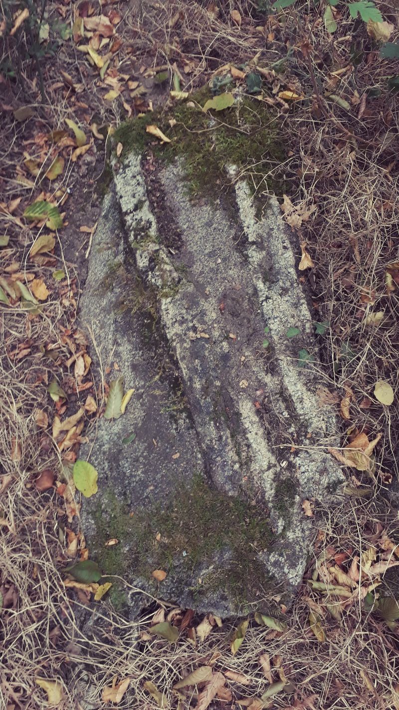 Dolmen du Breuil de Thiat (et promenade du Saut de la Brame) — photo 4