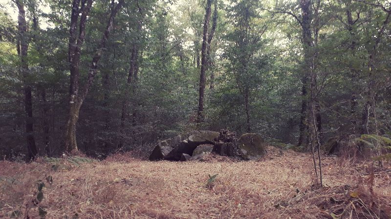 Dolmen du Breuil de Thiat (et promenade du Saut de la Brame)