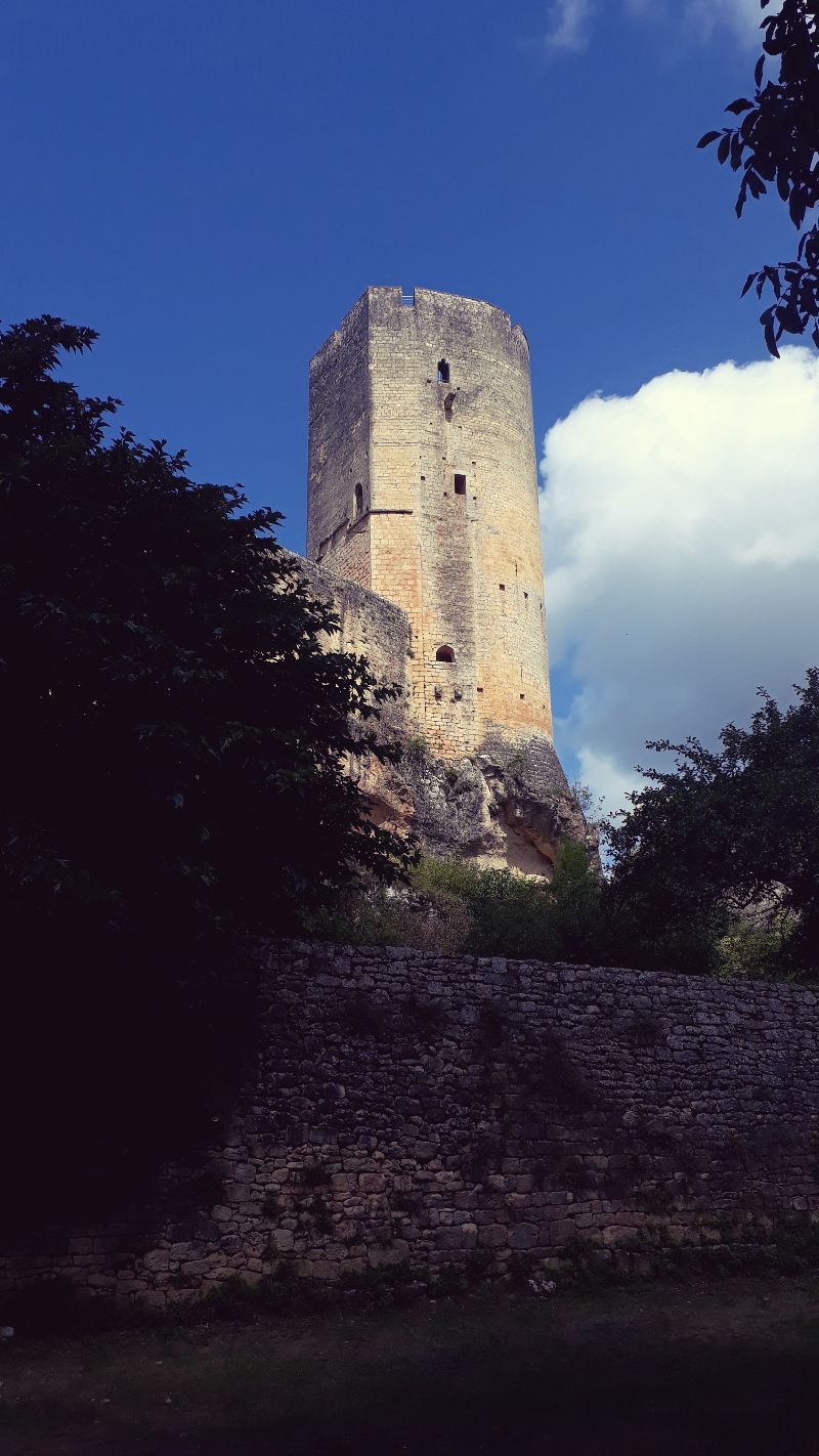 Château de Gavaudun — photo 3