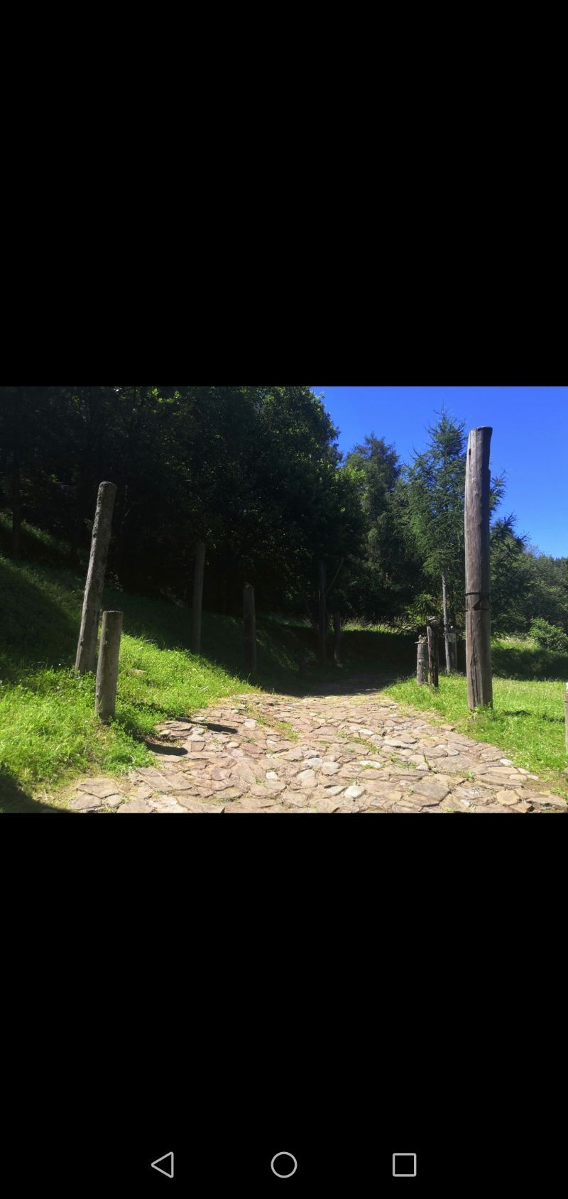 Havránok — photo 8