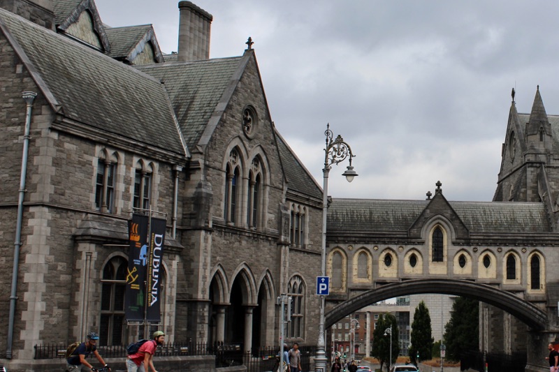 Dublinia