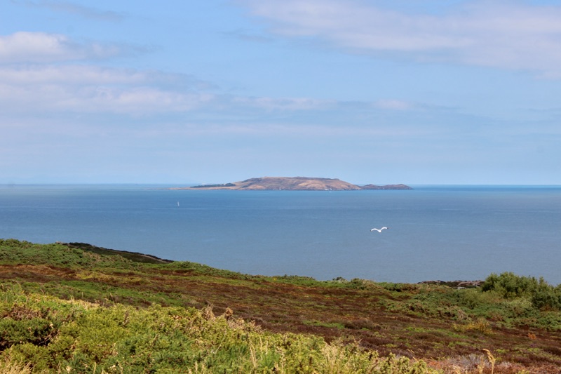 Sentiers des falaises de Howth — photo 4
