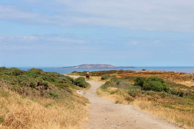 Sentiers des falaises de Howth