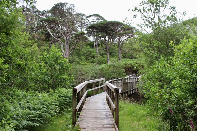 Loch Shiel