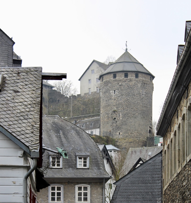 Château de Montjoie — photo 4