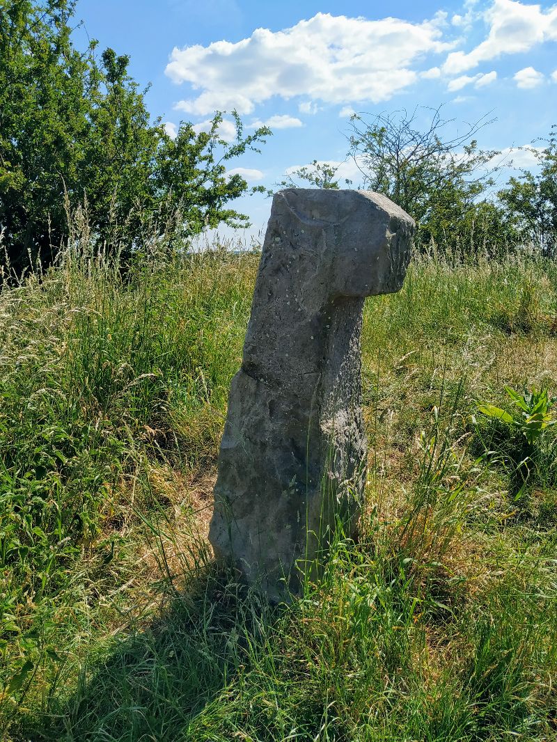 Cromlech des 7 Bonnettes