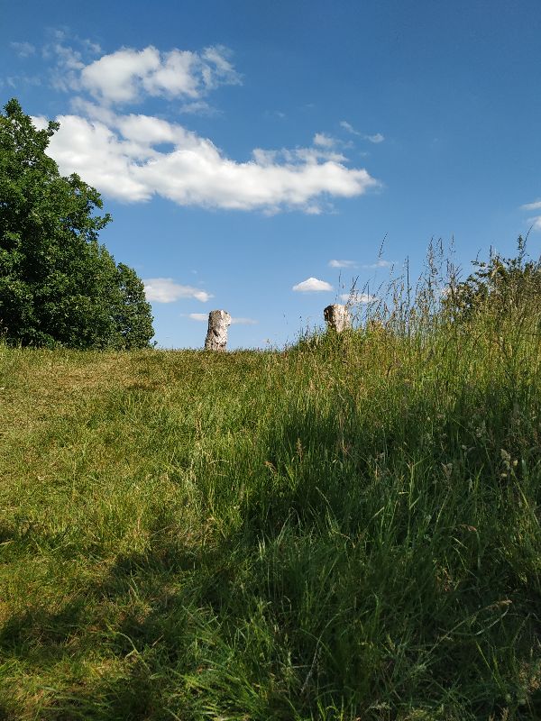 Cromlech des 7 Bonnettes — photo 3