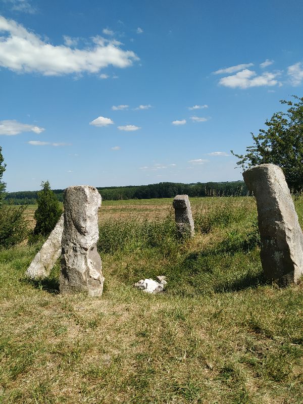 Cromlech des 7 Bonnettes — photo 2