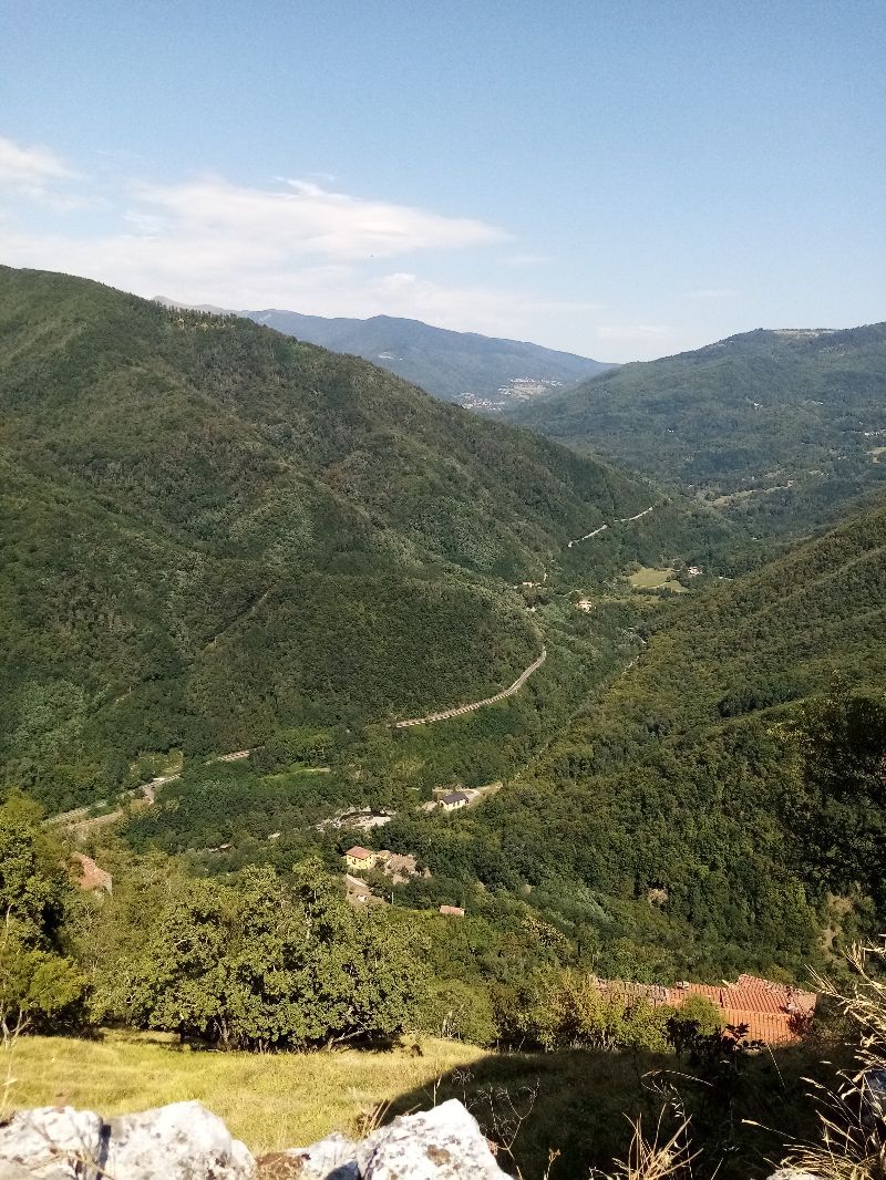Lucchio