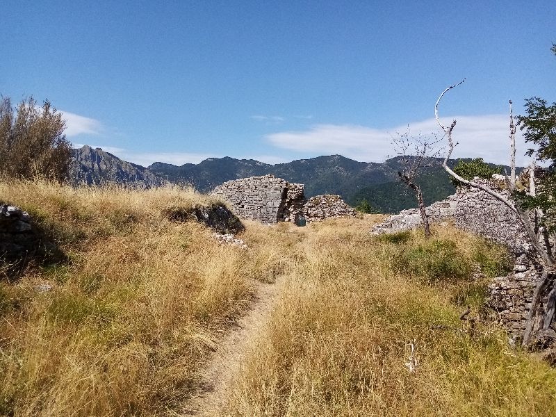 Lucchio — photo 5