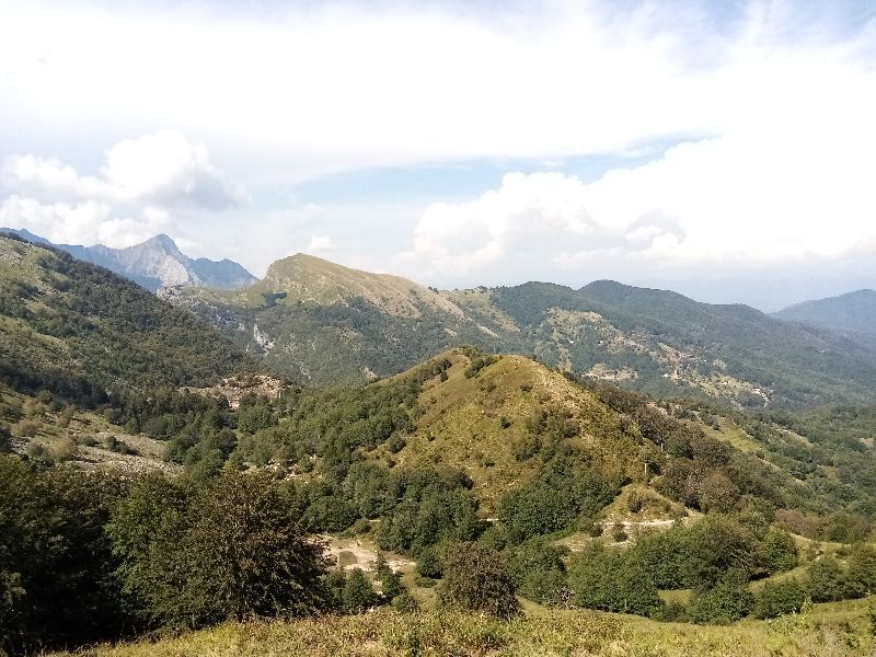 Matanna — photo 4