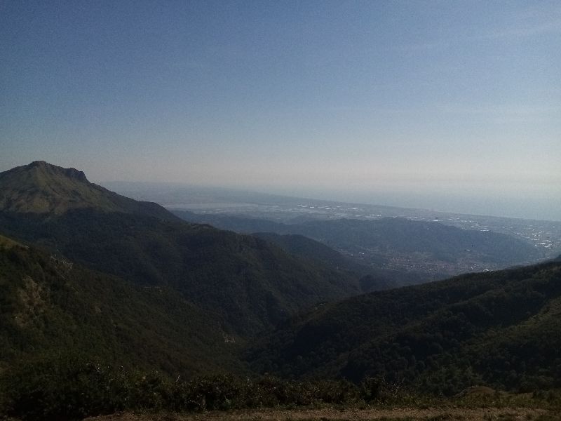 Matanna — photo 3
