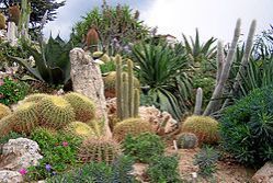 Jardin botanique d'Eze