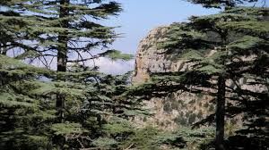 Az Tannourine