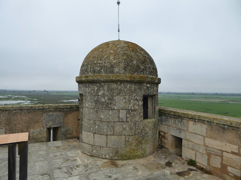 La tour Carbonnière — photo 6