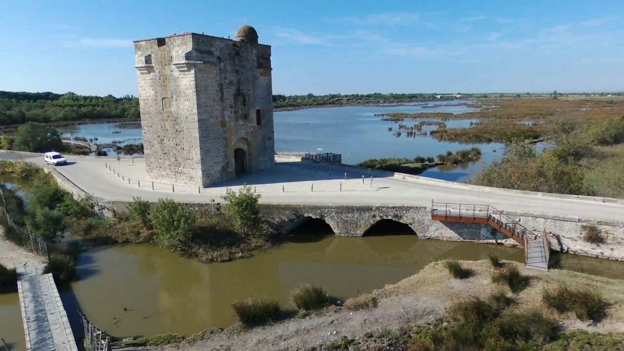 La tour Carbonnière — photo 3