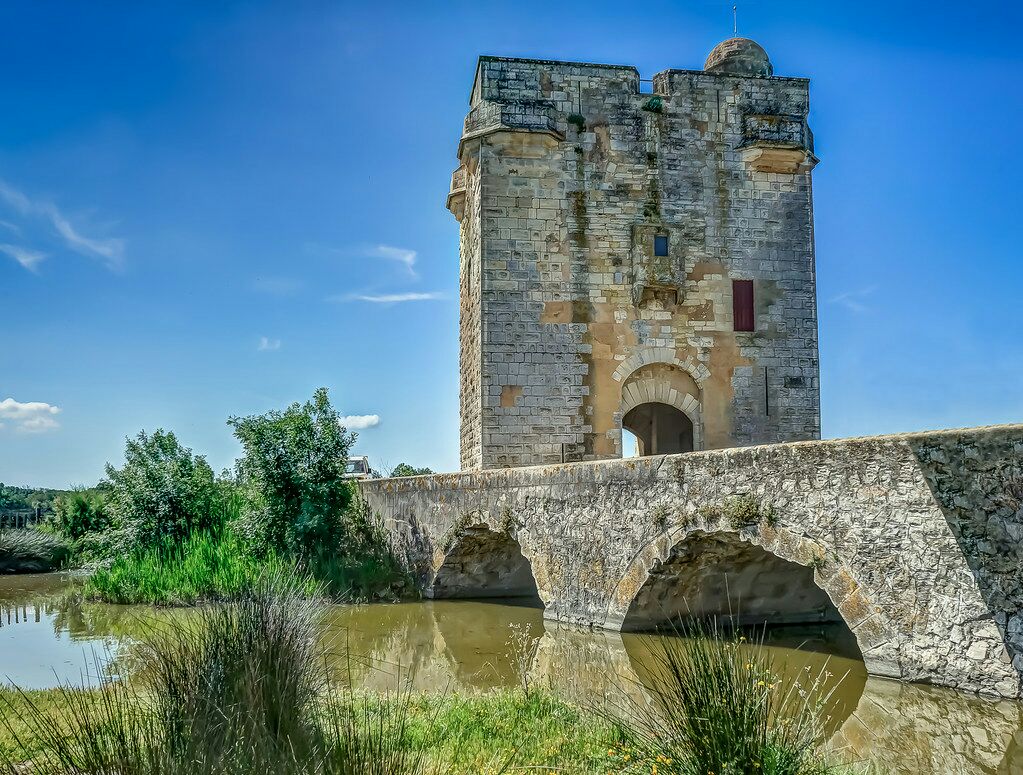 La tour Carbonnière — photo 7