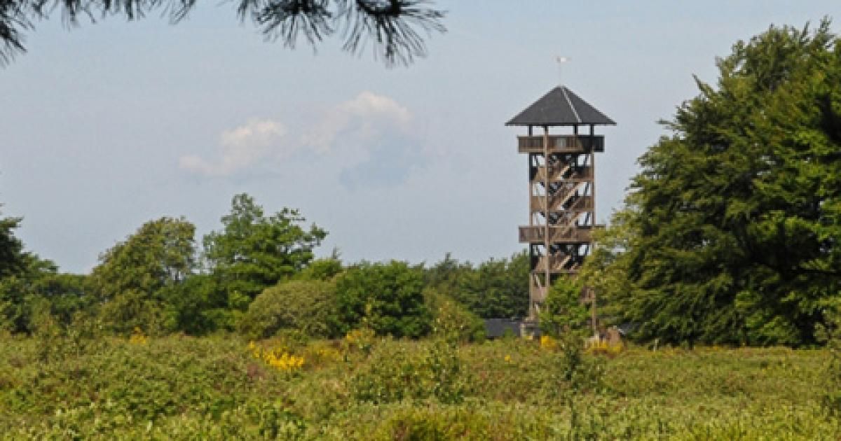 Tour en bois du domaine de Berinzenne — photo 2