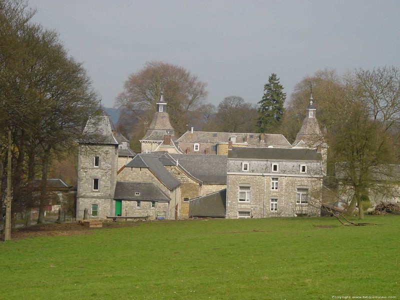 Le château d'Avionpuits