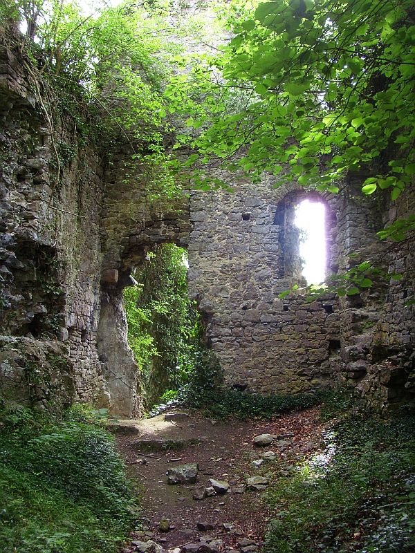 Château d'Amblève — photo 2