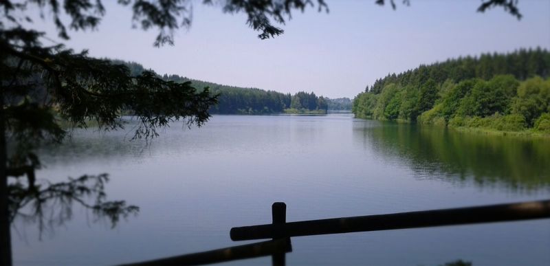 Lac de Butgchenbach