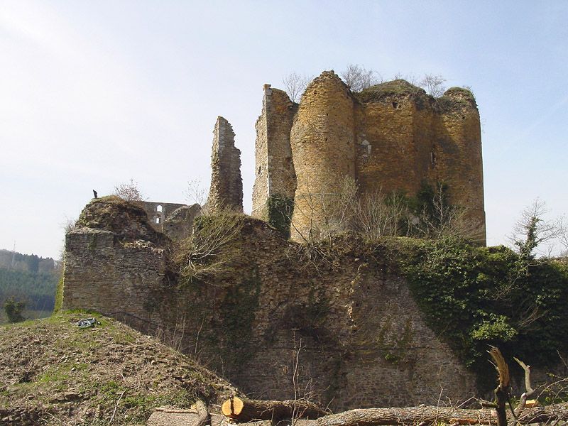 Château de Franchimont — photo 3