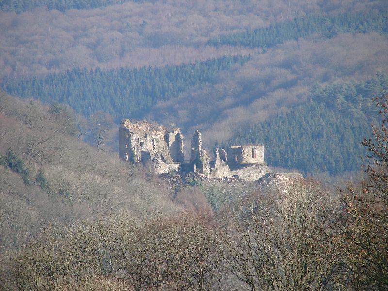 Château de Franchimont — photo 4