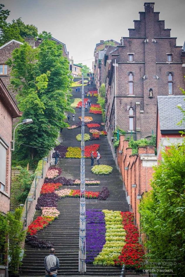 Montagne du Bueren — photo 3