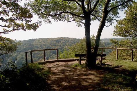Point de vue August Donnay