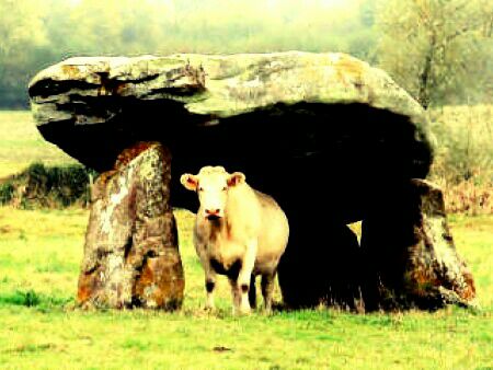 Dolmen de la roche aux loups