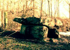 Dolmen des bois à Hamel