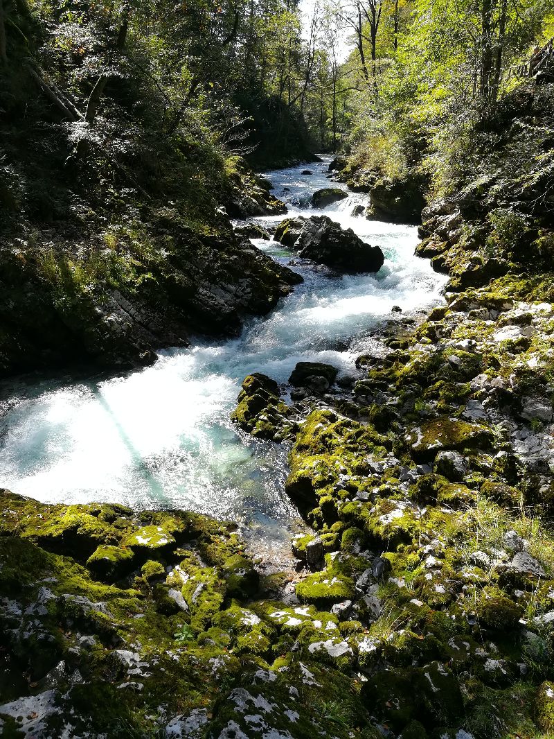 Les Gorges de Vingtar — photo 4