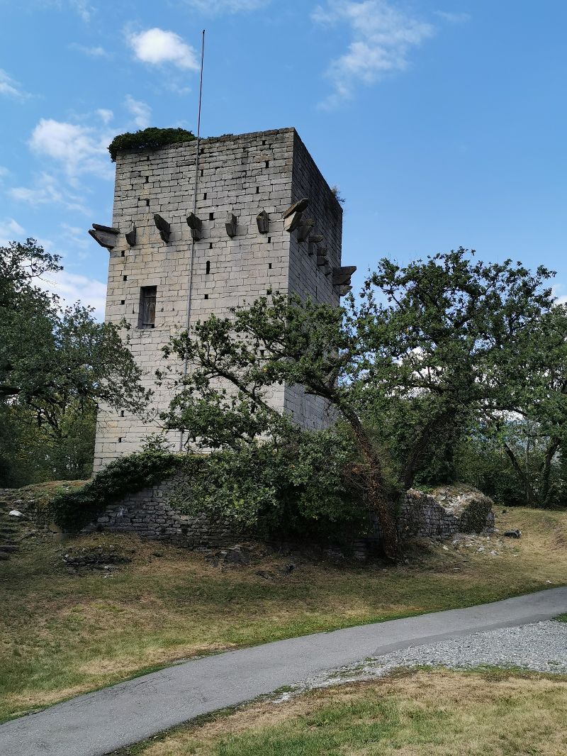 Tour de Saint-Triphon — photo 2