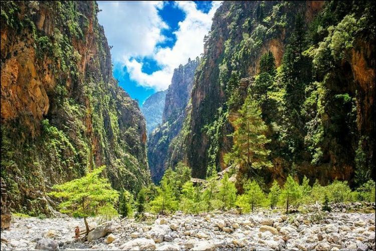 Samaria gorges