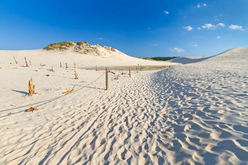 Łeba dunes