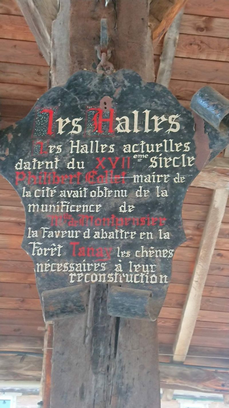 Châtillon-sur-Chalaronne — photo 6