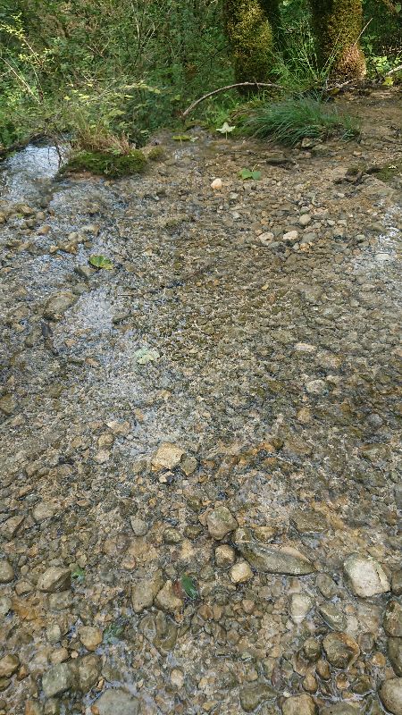 Cascade de Vulvoz — photo 4