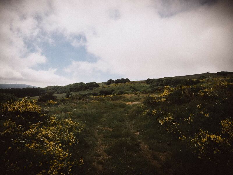 Le roc du nouret — photo 3