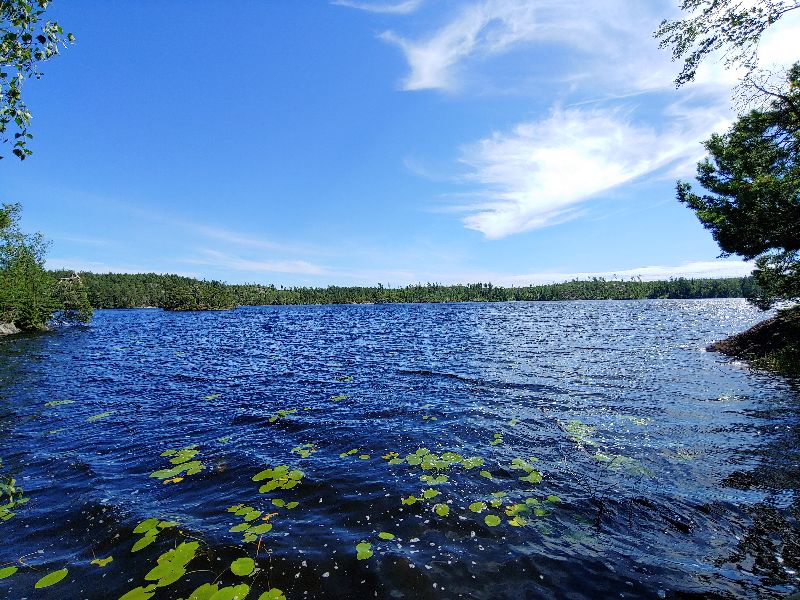Tyresta — photo 2